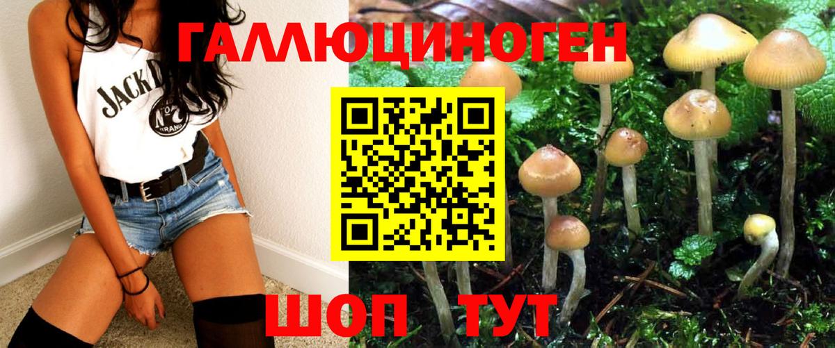 Мирный  Псилоцибиновые грибы Cubensis  Вход с VPN 