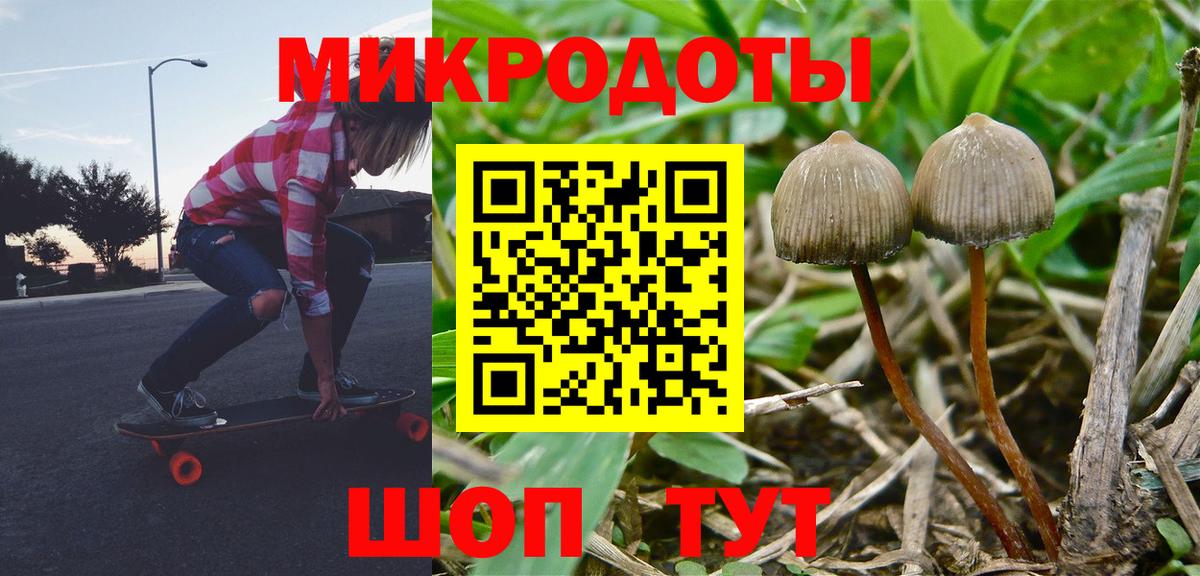 Галлюциногенные грибы Cubensis Мирный